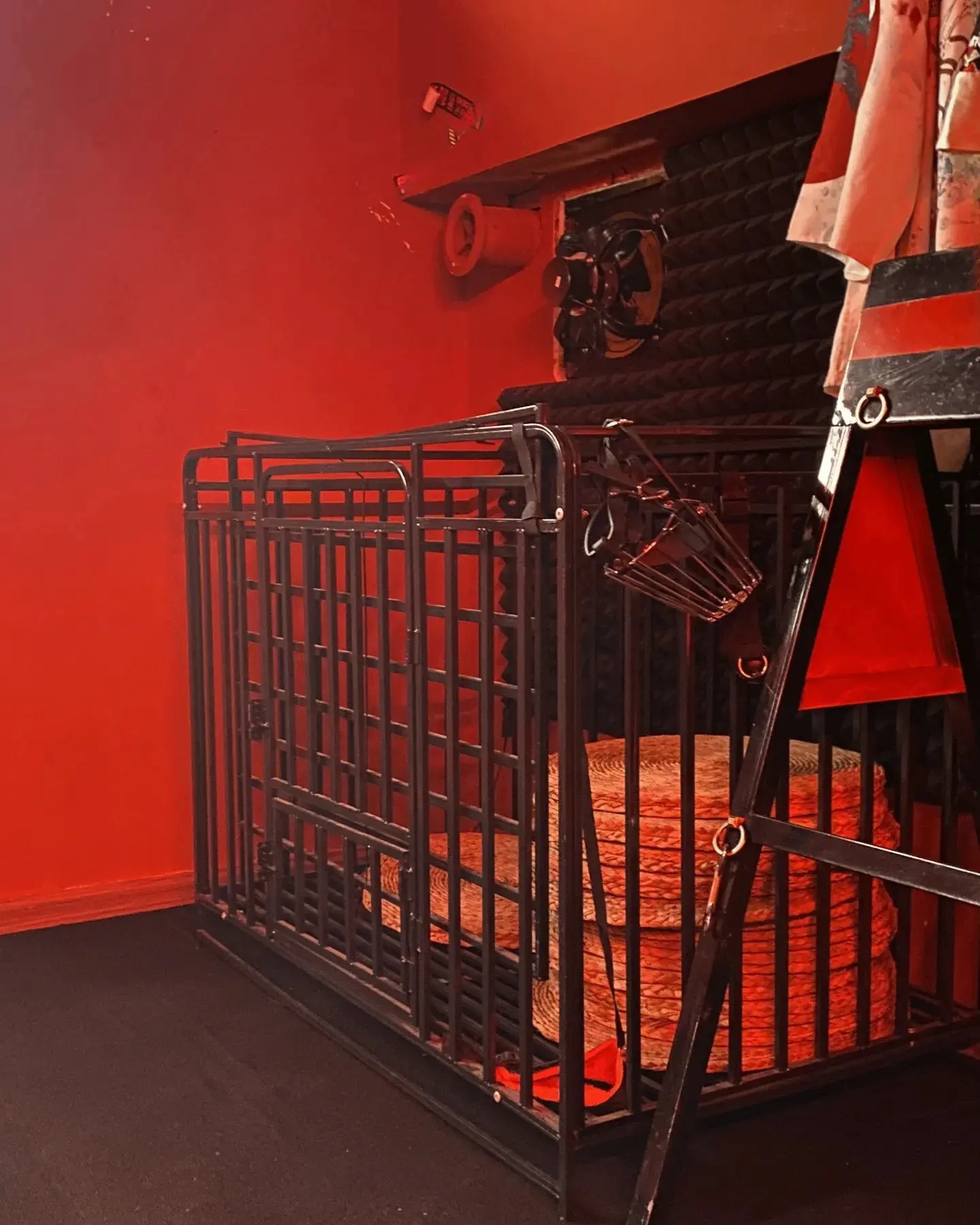西檬之家-BDSM是什么？字母圈新人入圈权威指南
