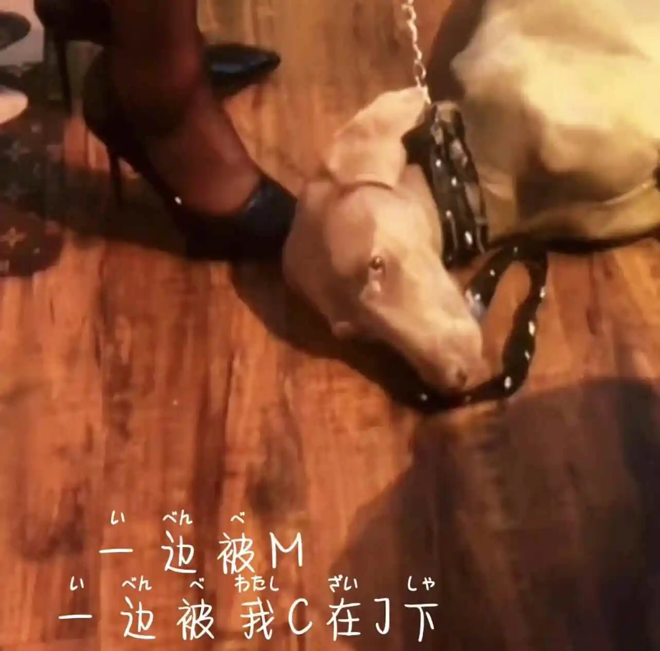 【西檬之家】字母圈新手指南：读懂Tickle与BDSM安全边界