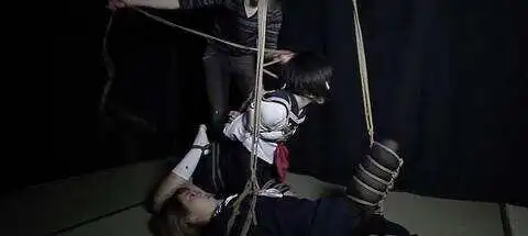 【西檬之家】K8猫系：BDSM圈新人必懂的属性指南