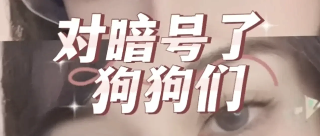 西檬之家-字母圈新人如何入圈？权威指南