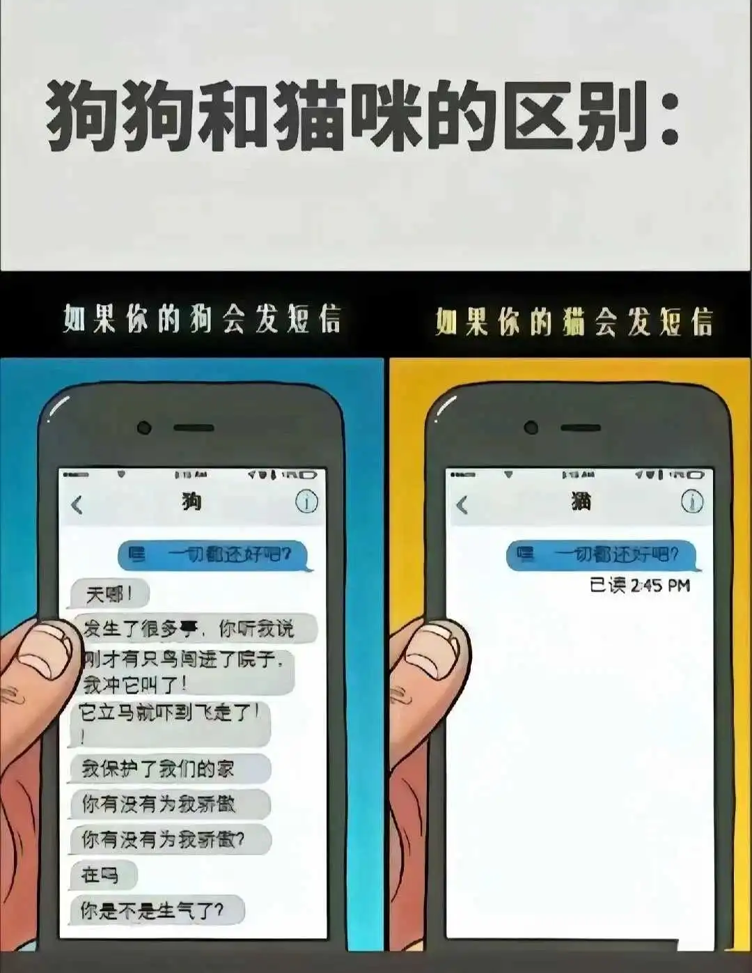 西檬之家-字母圈新人必看：BDSM基础术语与入圈指南