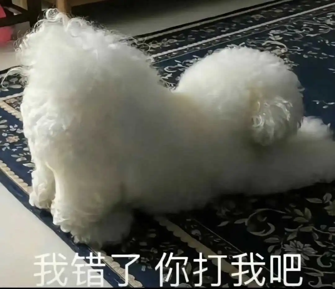 【西檬之家】字母圈新人必读：S倾向解析与健康互动指南