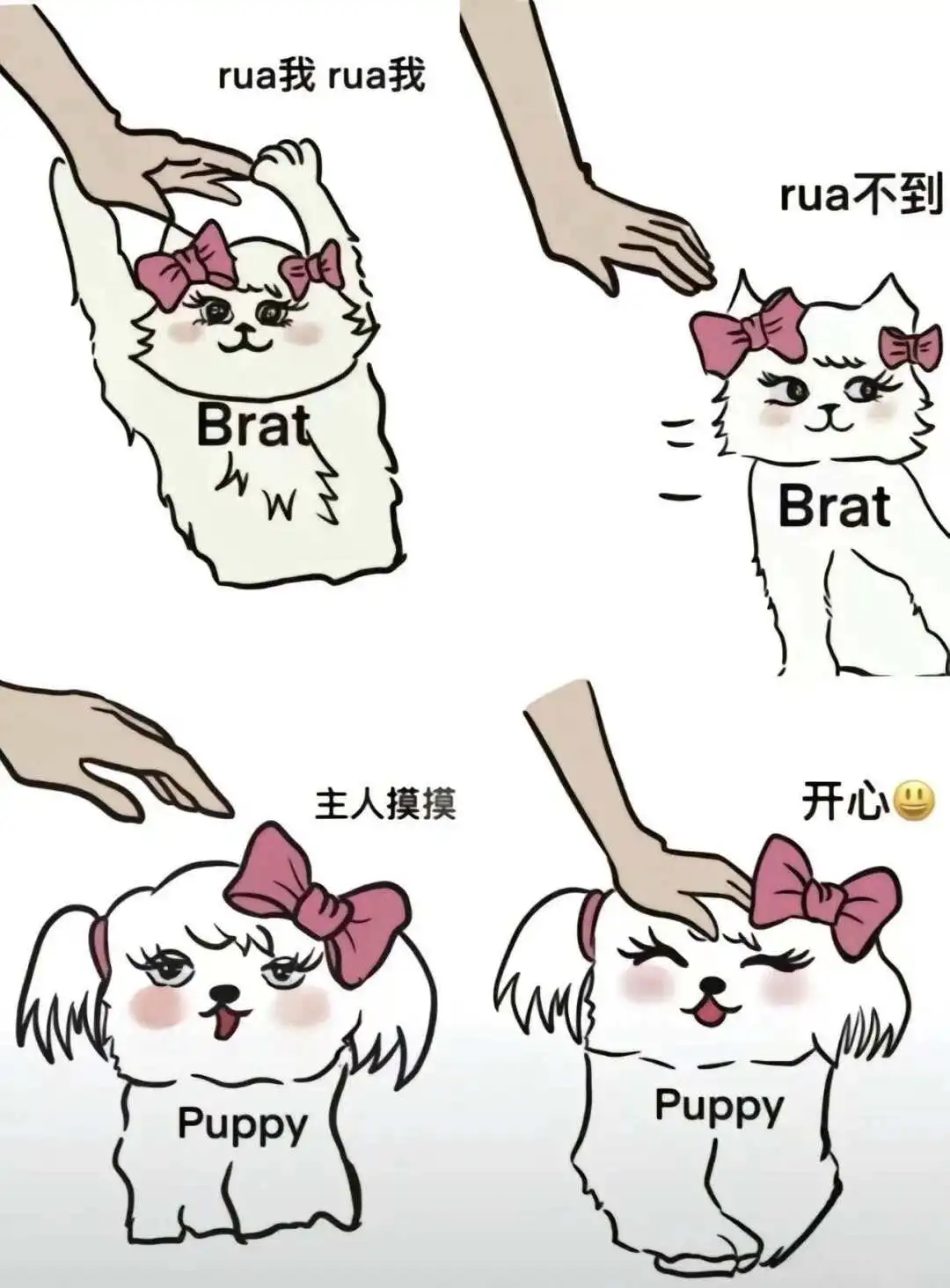 【西檬之家】BDSM字母圈新人指南：如何安全开启探索之旅