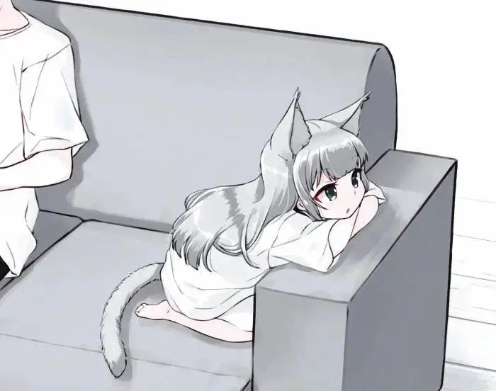 西檬之家-字母圈K8猫系角色解析与Dom/Sub互动指南