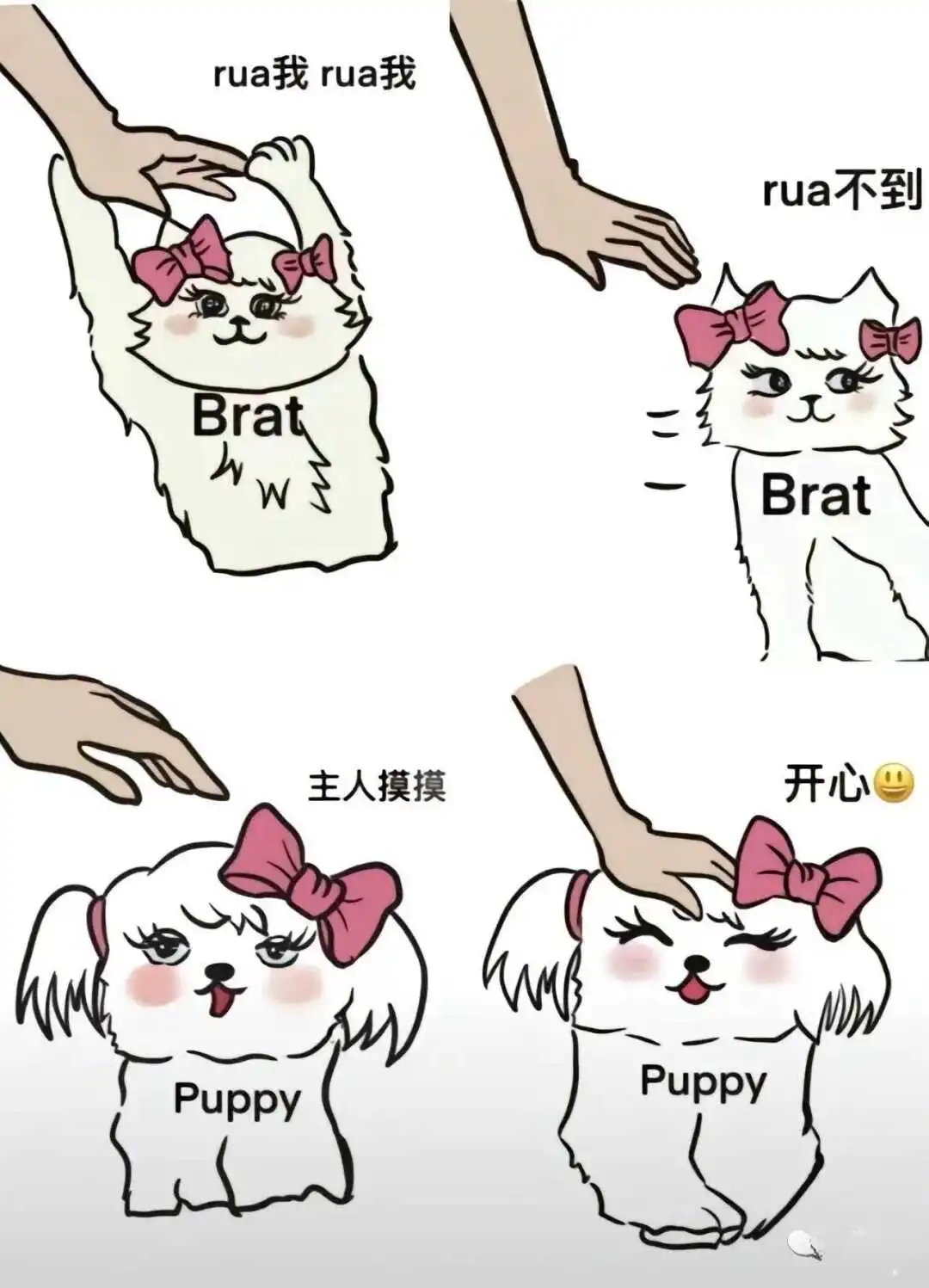 西檬之家-字母圈S是什么意思？BDSM新人核心术语解析