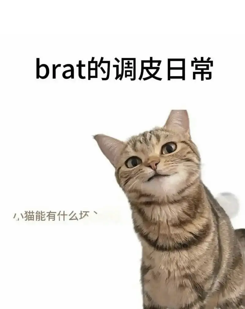 【西檬之家】Sub是什么？详解字母圈臣服者角色与SSC原则