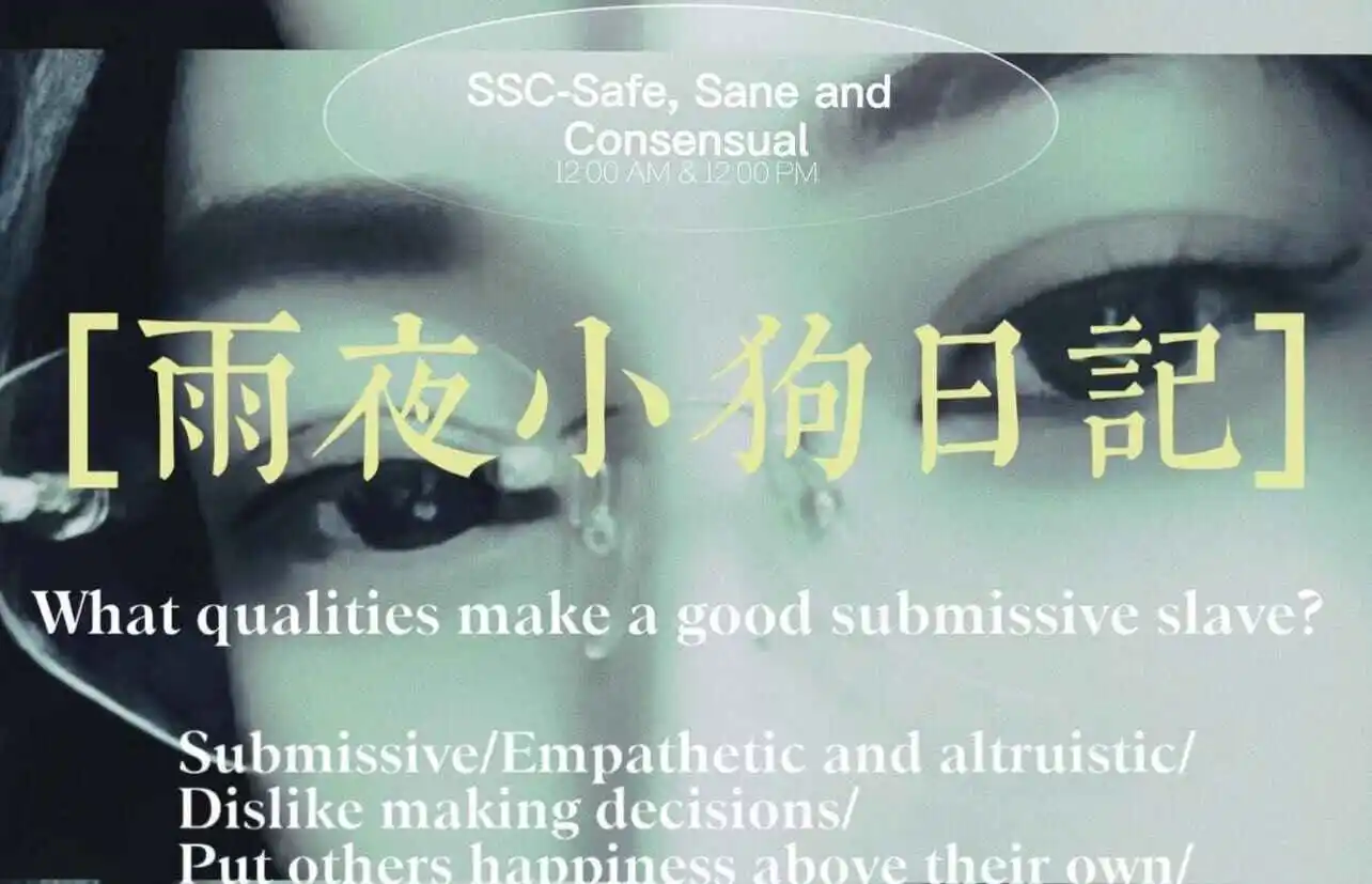 西檬之家-字母圈新人入门：Sub是什么及BDSM核心术语解析